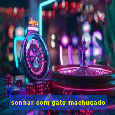 sonhar com gato machucado